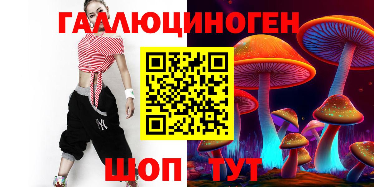 Псилоцибиновые грибы Cubensis  Вход с VPN  Алексеевка 